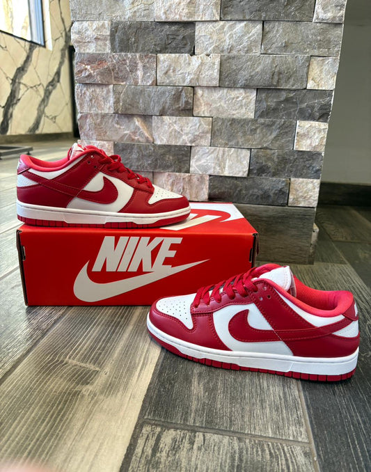 Nike Dunk G5